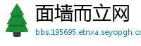 面墙而立网
